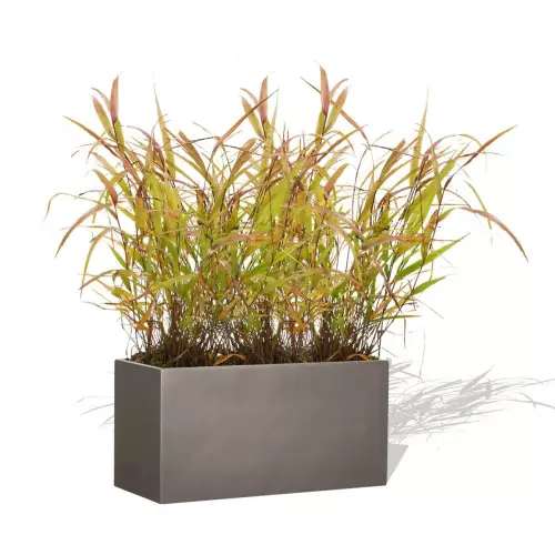 Szara donica D834 z trawą ozdobną